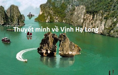 dan y bai thuyet minh ve vinh ha long dat diem cao - Dàn ý bài thuyết minh về Vịnh Hạ Long đạt Điểm Cao