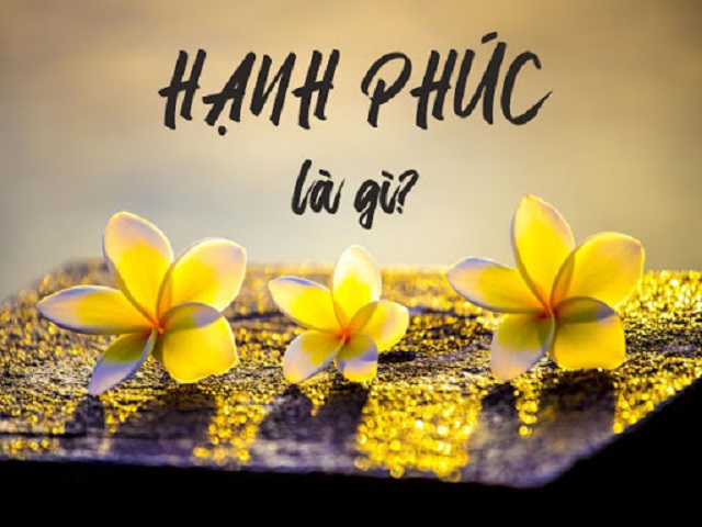 hanh phuc la gi hanh phuc co thuc su - Suy nghĩ về ý kiến Mỗi người đều có quyền lựa chọn cách sống của mình miễn là hạnh phúc